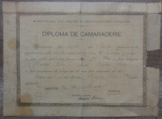 Diploma de camaraderie// Scoala Gimnaziala din Dorohoi, 1909 foto