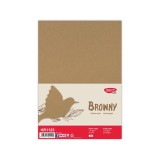 Hartie natur A4 110 g/mp 25 coli DACO