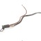 Borna cablu baterie VW TIGUAN 5N_ 2009 OEM: 5N0971228 11553945