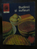 Budinci si sufleuri nr 99