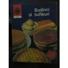 Budinci si sufleuri nr 99