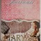 Dansul pasiunii &ndash; Mary Jo Putney