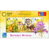 MONGOLIA 2005 CAINI SI PISICI