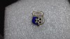 Insigna Chimia Rm . Vilcea