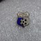 Insigna Chimia Rm . Vilcea