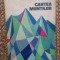 CARTEA MUNTILOR de VIRGIL LUDU