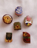 Insigne pionieri #3