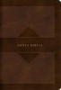 Rvr 1960 Hand Size Giant Print Bible with Holy Land Images, Brown Leathertouch Mass Market Edition