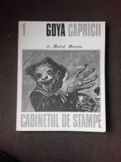 Goya Capricii. Cabinetul de stampe - Modest Morariu foto