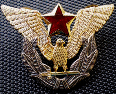 I.451 INSIGNA CUC AVIATIE MILITARA PILOT JUGOSLAVIA YUGOSLAVIA IUGOSLAVIA foto