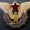 I.451 INSIGNA CUC AVIATIE MILITARA PILOT JUGOSLAVIA YUGOSLAVIA IUGOSLAVIA