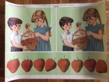 plansa pentru scoala gradinita elevi copii tema capsuni romania editura didactica si pedagogica