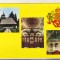 bnk cp Arad - Biserica de lemn din Parcul episcopiei - necirculata
