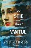 Amy Harmon - Ce stie doar vantul