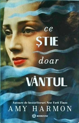 Amy Harmon - Ce stie doar vantul foto