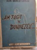 Am fugit de Dumnezeu - Ion Mincu Lehliu