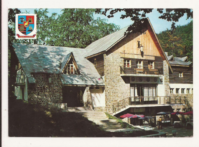 Carte Postala veche - Muntii Gutai - Hanul Pintea Viteazul , circulata 1980