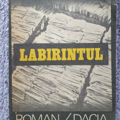 Labirintul, de Francisc Pacurariu, Editura Dacia 1986