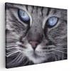 Tablou canvas portret de pisica detaliu in alb, negru, albastru 1132 Tablou canvas pe panza CU RAMA 30x40 cm