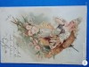 Superba carte postala superba ,Felicitare din anul 1901 , Corespondenta, Circulata, Printata