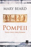 Cumpara ieftin Pompeii. Viața unui oraș roman