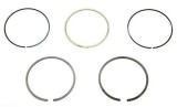 Mahle Set segmenti piston