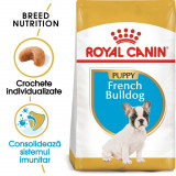 Royal Canin French Bulldog Puppy hrană uscată c&acirc;ine junior, 3kg
