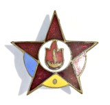 INSIGNA DISTINCTIE PIONIERI STELUTA CENTRUL EMAIL ALB PIONIER, Romania de la 1950