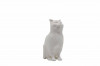 Set de pictat figurina de Pisica, culori acrilice 6x3ml