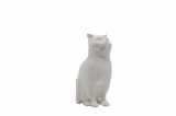 Set de pictat figurina de Pisica, culori acrilice 6x3ml