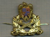 Y 1564 INSIGNA-MILITARA-EMBLEMA COIFURA- TRUPELE DE USCAT -PENTRU COLECTIONARI