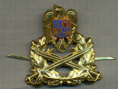 Y 1564 INSIGNA-MILITARA-EMBLEMA COIFURA- TRUPELE DE USCAT -PENTRU COLECTIONARI foto