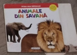 Prima mea Biblioteca - Animale din Savana