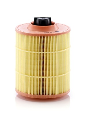 MANN-FILTER C 16 142/2 Filtru aer foto
