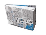 Despre Ochiul de Veghe (Meteorologia unui bazar ideatic) | Vladimir Bulat