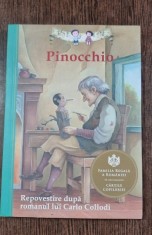 Pinocchio - repovestire dupa romanul lui Carlo Collodi foto