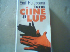 Emil Hurezeanu - INTRE CAINE SI LUP - radiografii ale tranzitiei - { 1996 } foto