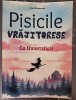 &quot;Pisicile Vrăjitorese-La Universitate&quot;, volumul III
