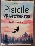 &quot;Pisicile Vrăjitorese-La Universitate&quot;, volumul III