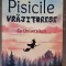 &quot;Pisicile Vrăjitorese-La Universitate&quot;, volumul III