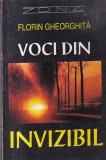 Carti Florin Gheorghita - Voci din invizibil, 224 pagini, 13x20 cm, Brosata, Romana