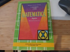 Matematica. Algebra. Manual clasa X-a. Nastasescu, Ni?a ?i Popa. foto