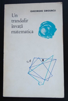 Gheorghe Grigurcu - Un trandafir &amp;icirc;nvață matematica (debut; tiraj 1440 ex.) foto