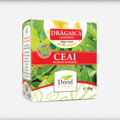 Ceai dragaica 50gr dorel plant