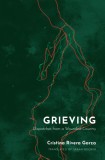 Grieving: Dispatches from a Wounded Country, 2020