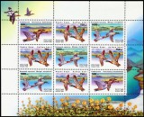 Rusia 1995 - Păsări, rate, minicoala neuzata