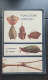 Homocromie și mimetism - C. Bogoescu, Șt. Boldor