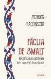 Faclia de smalt. Recomandari iubitoare intr-un secol dezordonat - Teodor Baconschi - Polirom