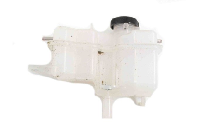 Vas de expansiune LEXUS RX _L2_ 2020 13618312