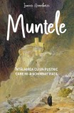 Cumpara ieftin Muntele. &Icirc;nt&acirc;lnirea cu un pustnic care mi‑a schimbat viața - Paperback brosat - Sophia